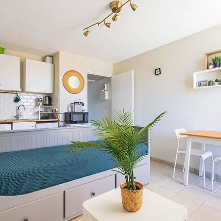 Le Mimosa Ensoleille - A 400 M De La Apartment