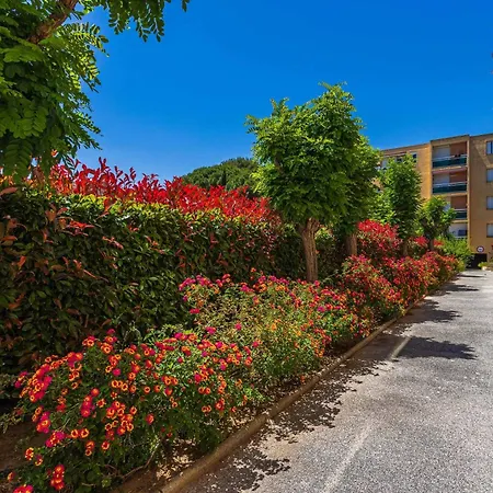 Le Mimosa Ensoleille - A 400 M De La Bormes-les-Mimosas